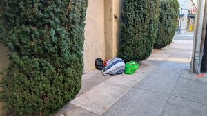 PXL 20250926 154325901.MP.webp