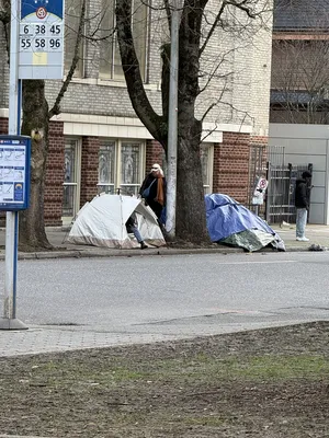 File:8aa4ff42-IMG 0737.webp