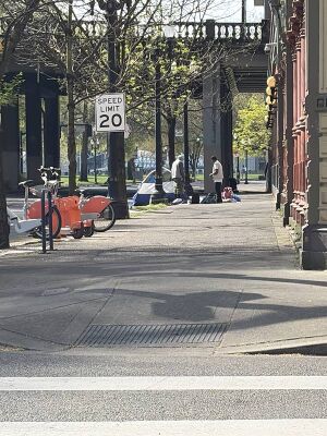 Capture 1775842557.jpg