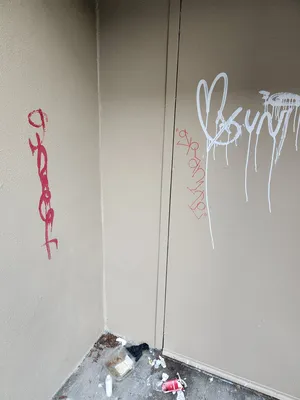 File:979d0343-20260110 163726.webp