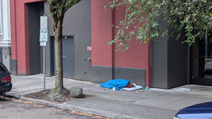 PXL 20250922 142607851.MP.webp