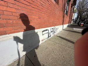 7b950ce7-IMG 9487.webp