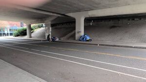 Capture 1773003223.jpg