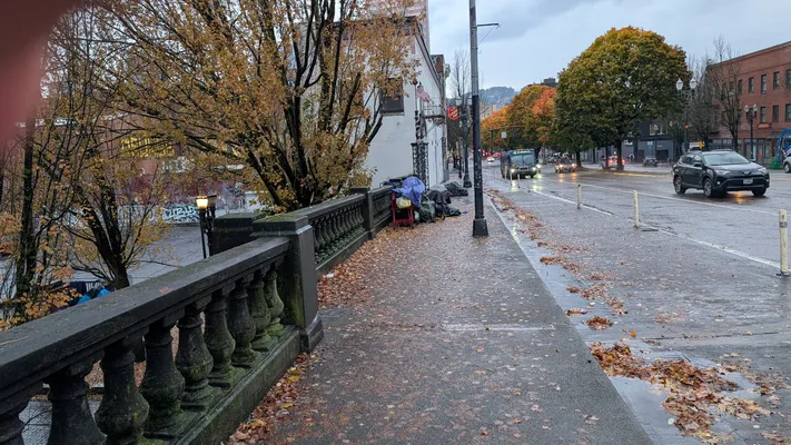 File:PXL 20251105 155305397.webp