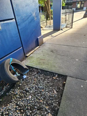 File:37e4b8d9-20251129 124639.webp