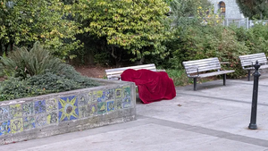 PXL 20251014 143627400.webp