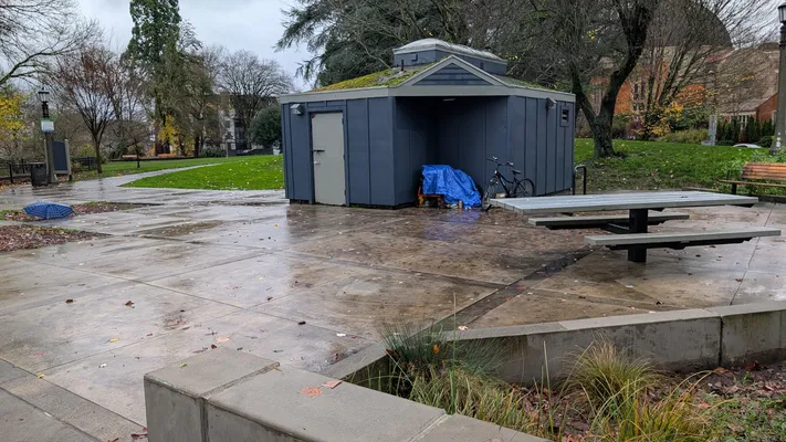 File:8d9c765a-PXL 20251205 195206908.webp