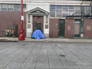 Capture 1773081849.jpg