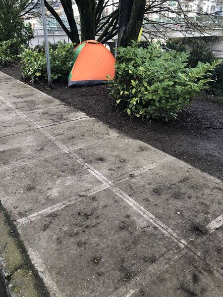 File:Capture 1773508095.jpg