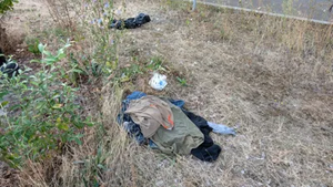 PXL 20250825 143409005.webp