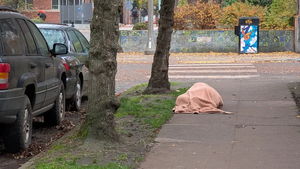 PXL 20251116 180436193.webp