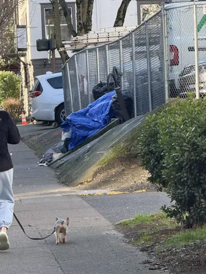 File:6a4e8a47-IMG 0706.webp