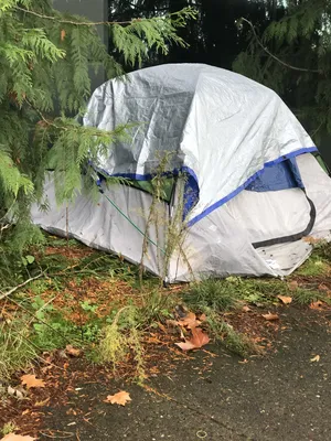 E0bf47af-IMG 3717.webp