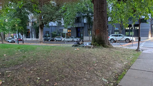 PXL 20251007 144703382.webp