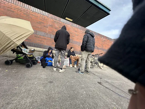 Ccbf71c7-IMG 9500.webp