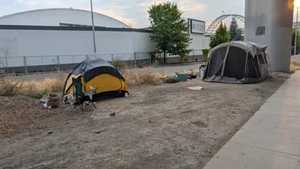 PXL 20250826 142114571.webp