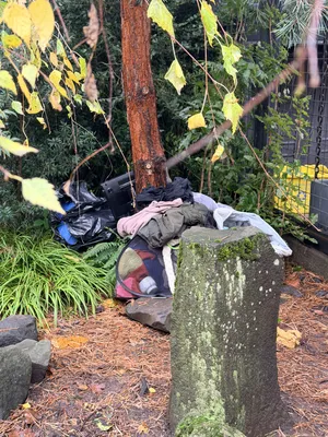 5d8d860b-IMG 4002.webp