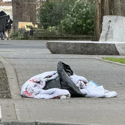 File:1e08e735-IMG 0738.webp