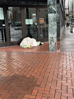 57024890-IMG 8904.webp