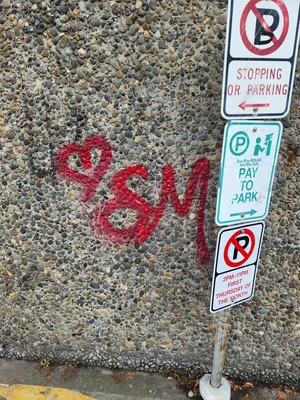 File:Caa9c0e8-20251213 133518.webp