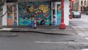 Capture 1772728619.jpg