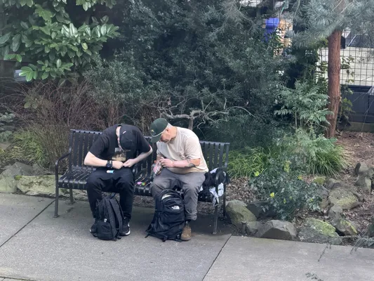 File:Ac480d7d-IMG 4554.webp