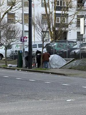 File:804cc50f-IMG 0826.webp