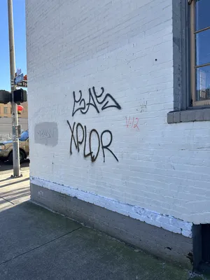 File:83fac3c7-IMG 9156.webp