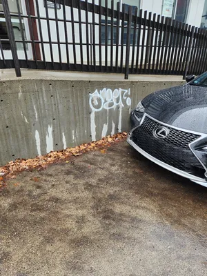 File:03757ea9-20251204 122909.webp