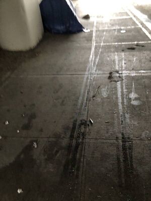 Capture 1772840291.jpg