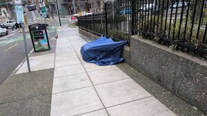 Capture 1774041525.jpg