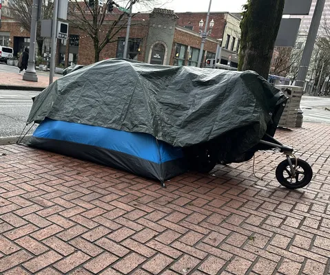 File:518e767b-IMG 8971.webp