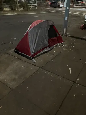 File:824dd7a1-IMG 0196.webp