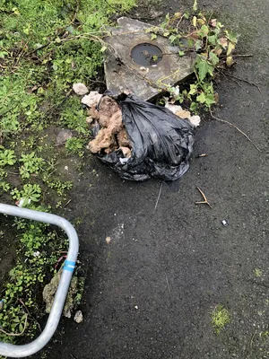 B91d9725-IMG 3740.webp