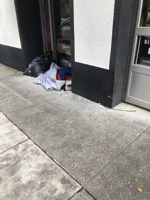 Fd9bc075-IMG 3730.webp