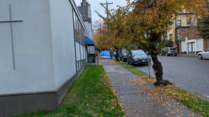 PXL 20251106 154754498.MP.webp