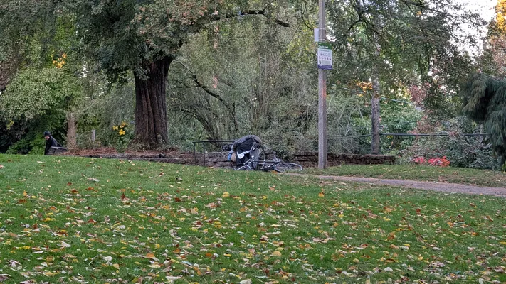 File:PXL 20251014 143911936.webp