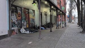 Capture 1773844861.jpg