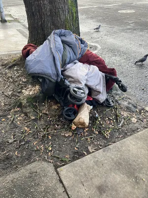 File:A67b9f65-IMG 0181.webp