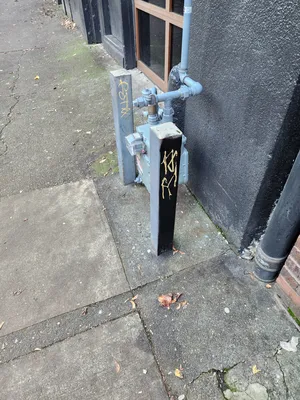 File:3af5712f-20251129 131007.webp