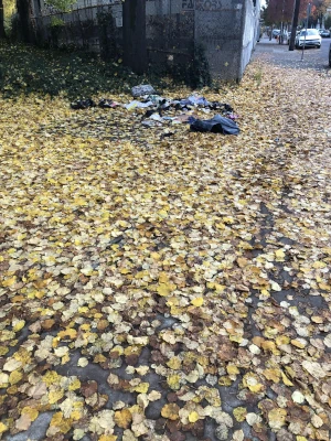 File:Trash IMG 3685.webp