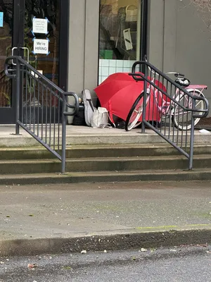 7fe908ae-IMG 0562.webp