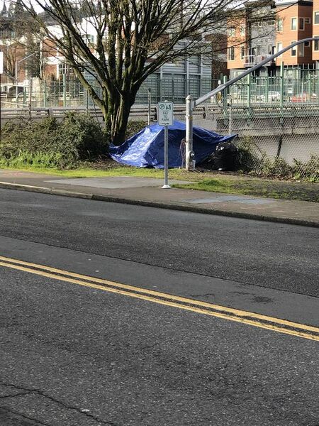 File:Capture 1773508076.jpg