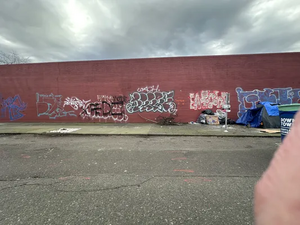 49dd4b17-IMG 9302.webp