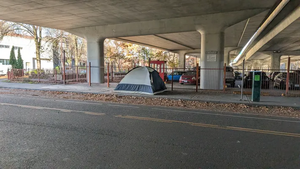 PXL 20251119 182015907.MP.webp