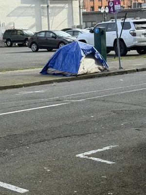 File:5f3d551f-IMG 0827.webp