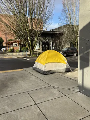 File:E7c84671-IMG 0550.webp