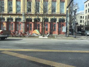 Capture 1773081719.jpg