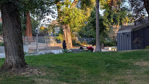 PXL 20250925 144727486.webp