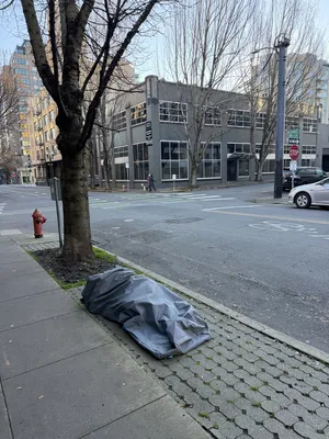 File:B49e0050-IMG 0695.webp